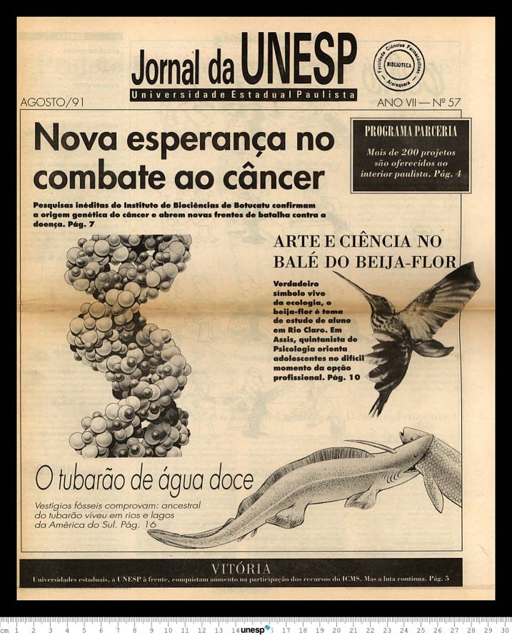 Imagem de Miniatura