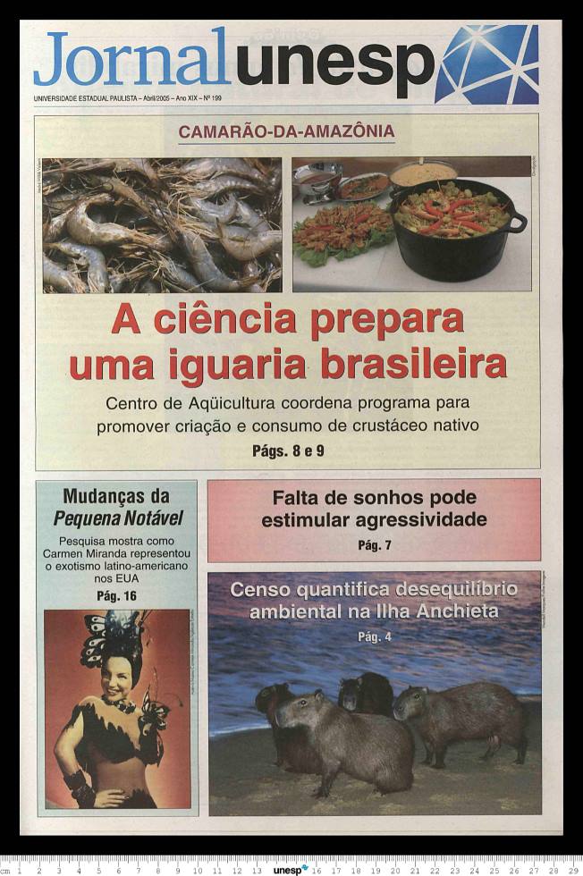 Imagem de Miniatura