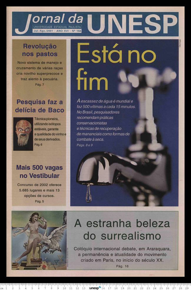 Imagem de Miniatura