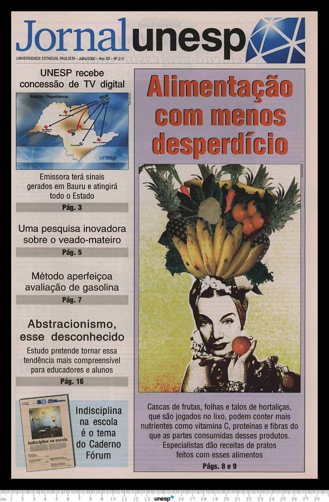 Imagem de Miniatura