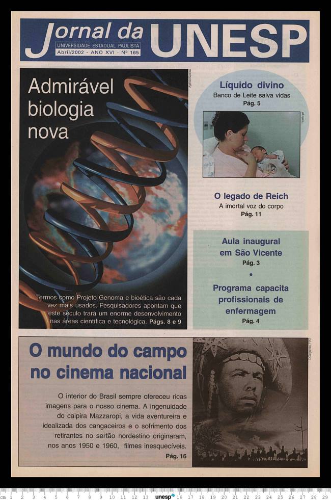 Imagem de Miniatura