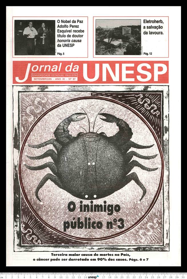 Imagem de Miniatura