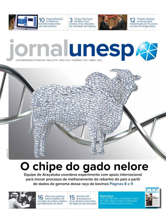 Imagem de Miniatura