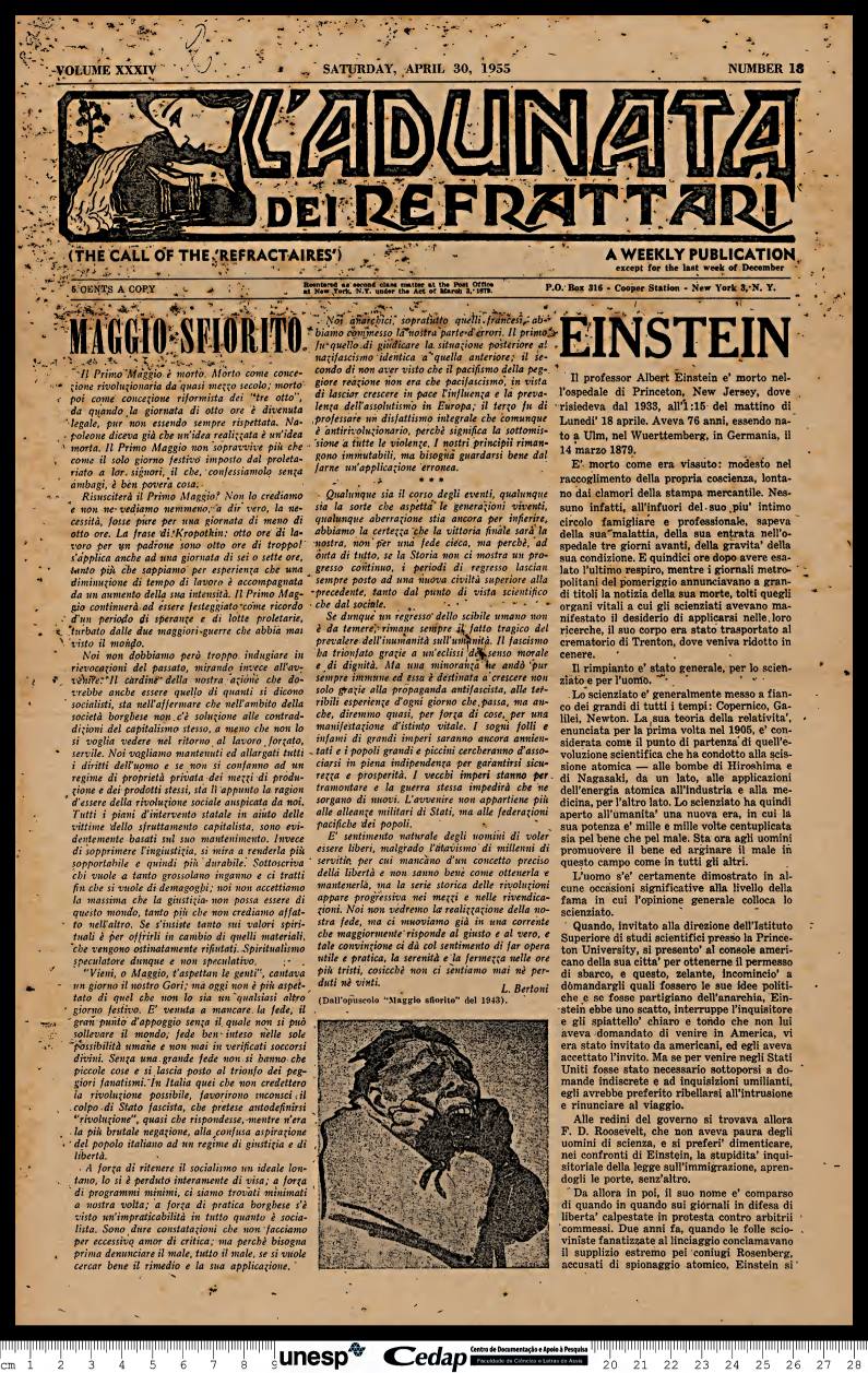 Imagem de Miniatura