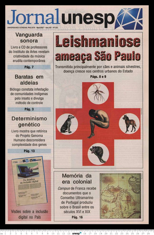 Imagem de Miniatura