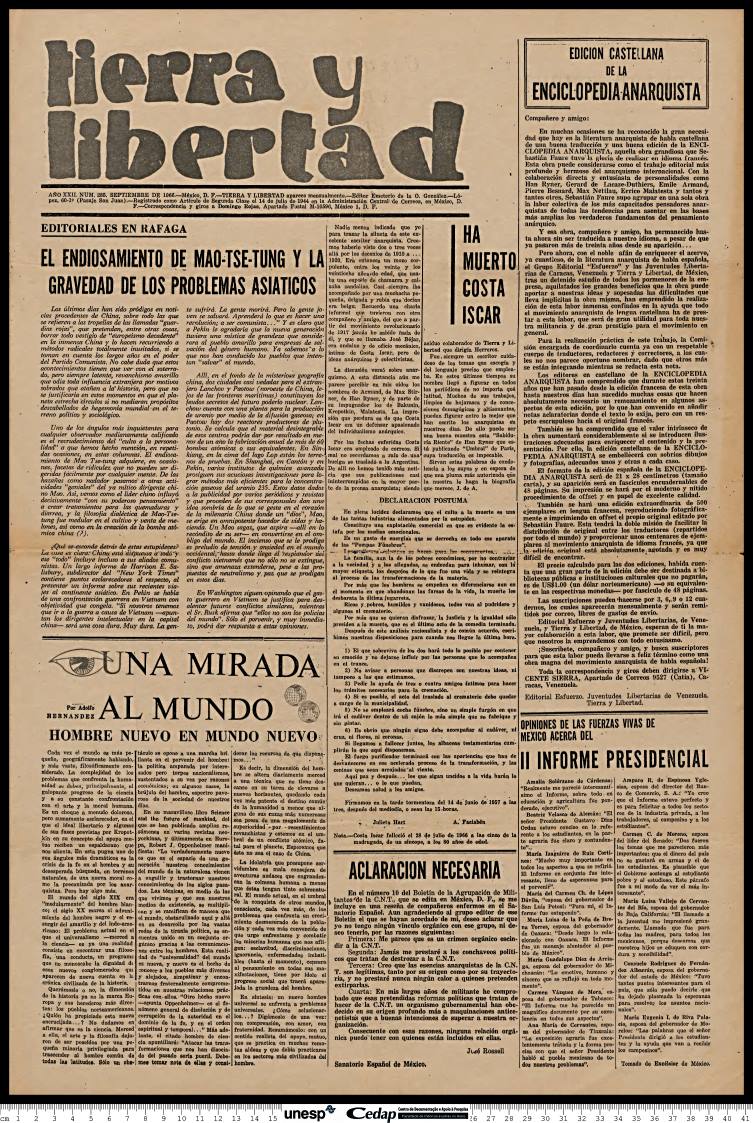 Imagem de Miniatura