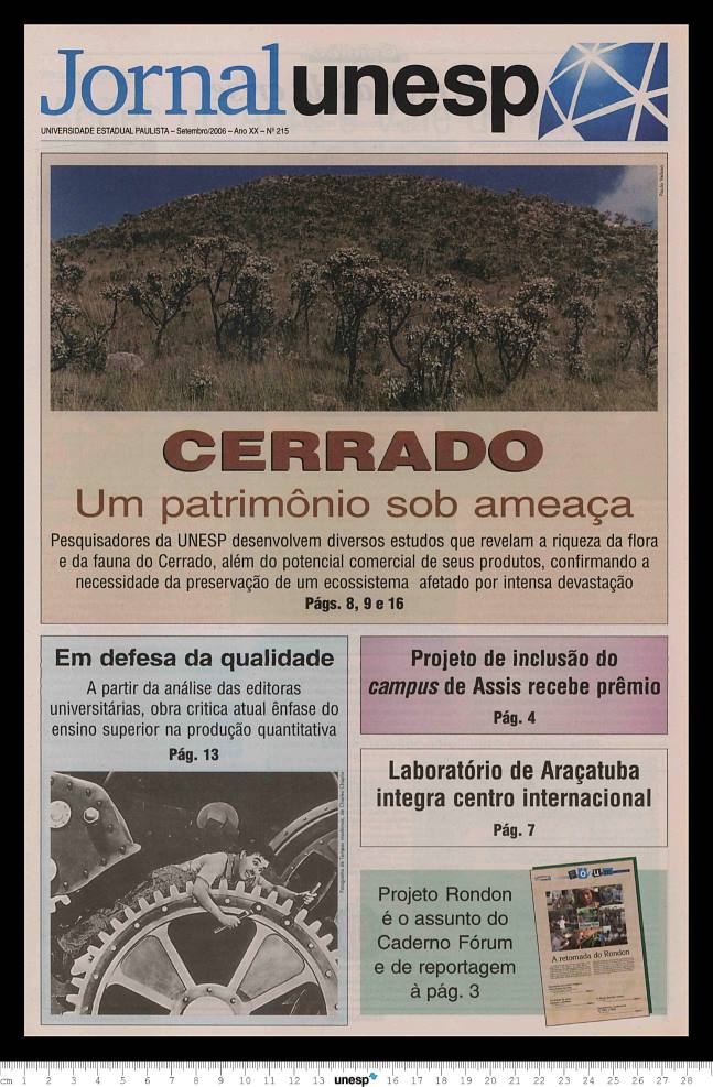 Imagem de Miniatura