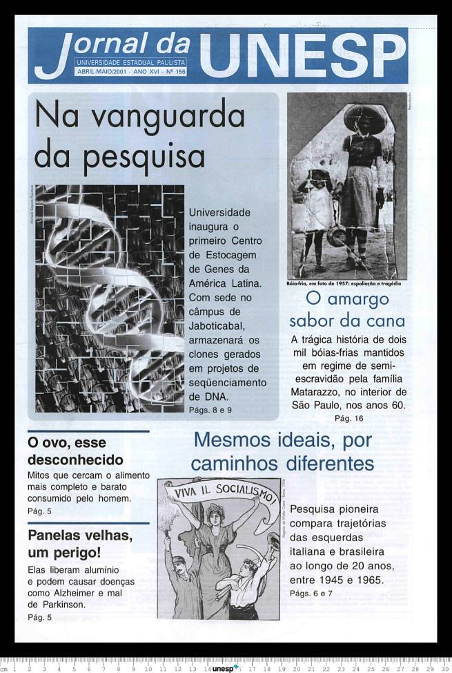 Imagem de Miniatura
