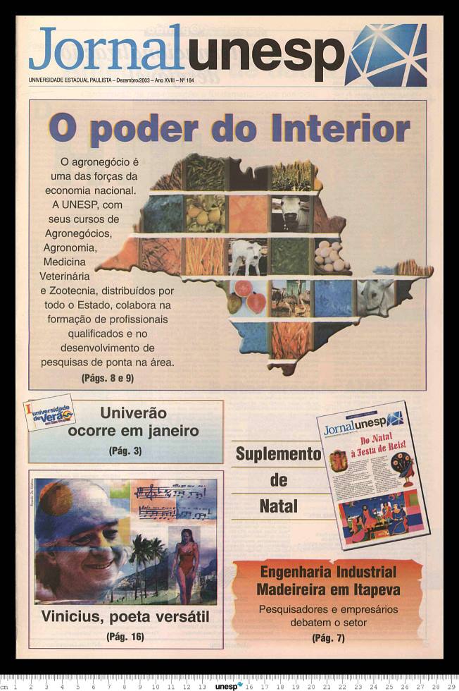 Imagem de Miniatura