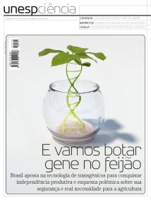 Imagem de Miniatura