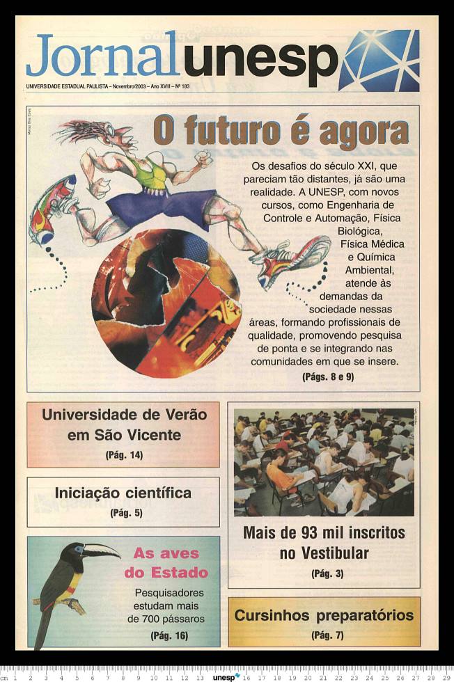 Imagem de Miniatura