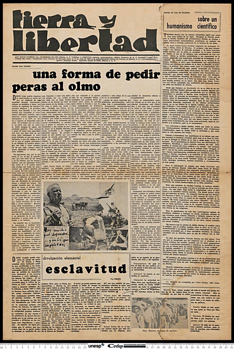 Imagem de Miniatura