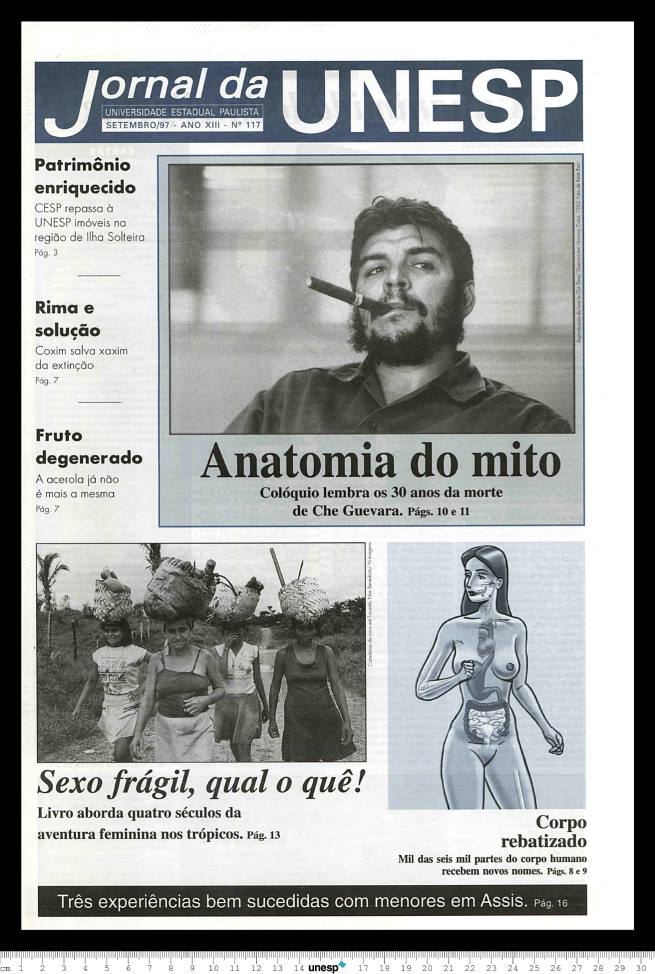 Imagem de Miniatura