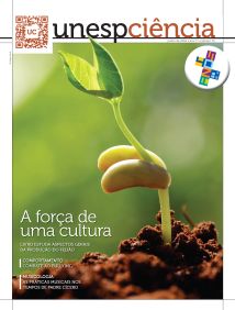 Imagem de Miniatura