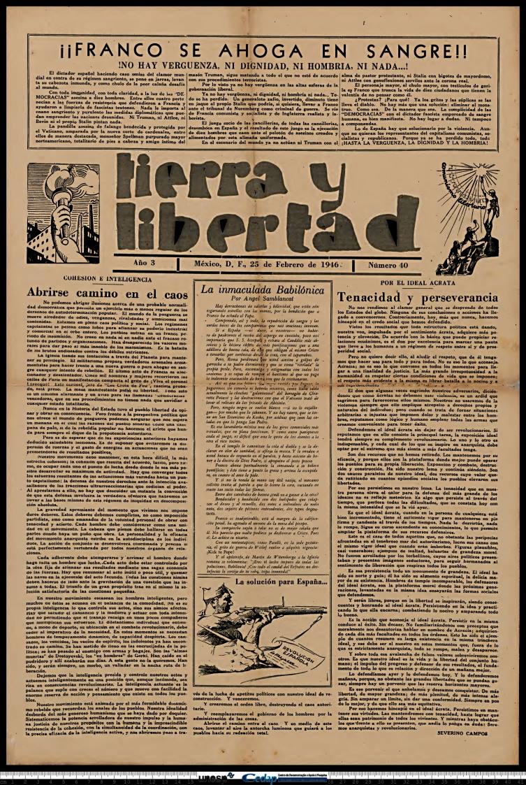 Imagem de Miniatura